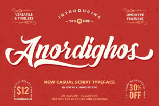 Anordighos: A Casual Display Font That Fits Real Workflows