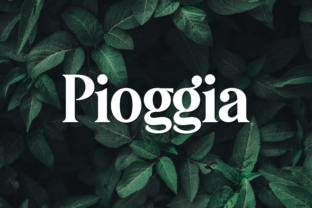 Pioggia: A Modern Display Font That Brings Playful Clarity to Your Visual Voice